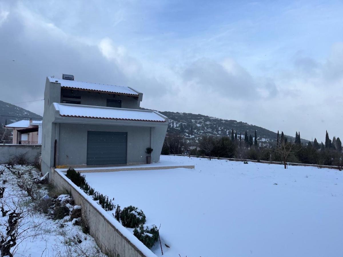 Stellas Guesthouse Near Arachova Stírion Zewnętrze zdjęcie