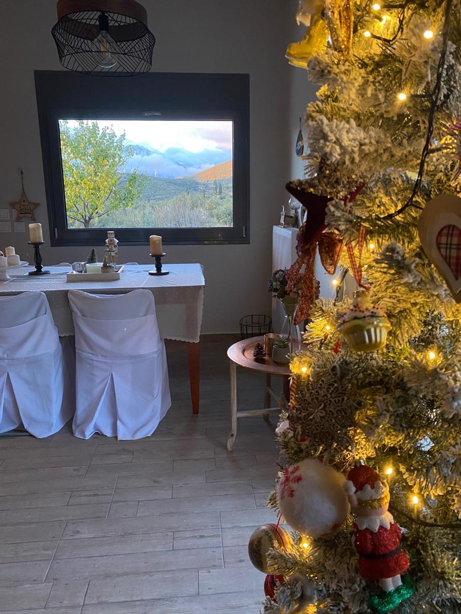 Stellas Guesthouse Near Arachova Stírion Zewnętrze zdjęcie