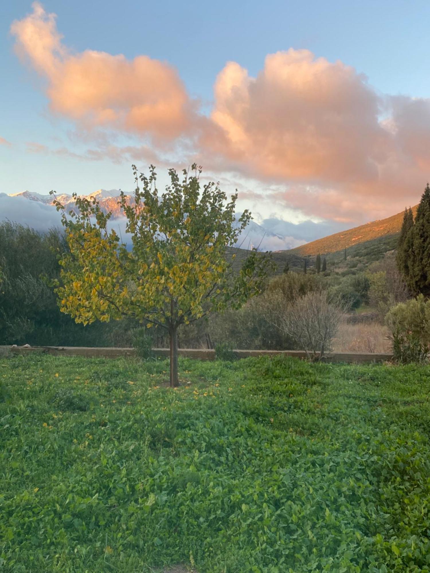 Stellas Guesthouse Near Arachova Stírion Zewnętrze zdjęcie