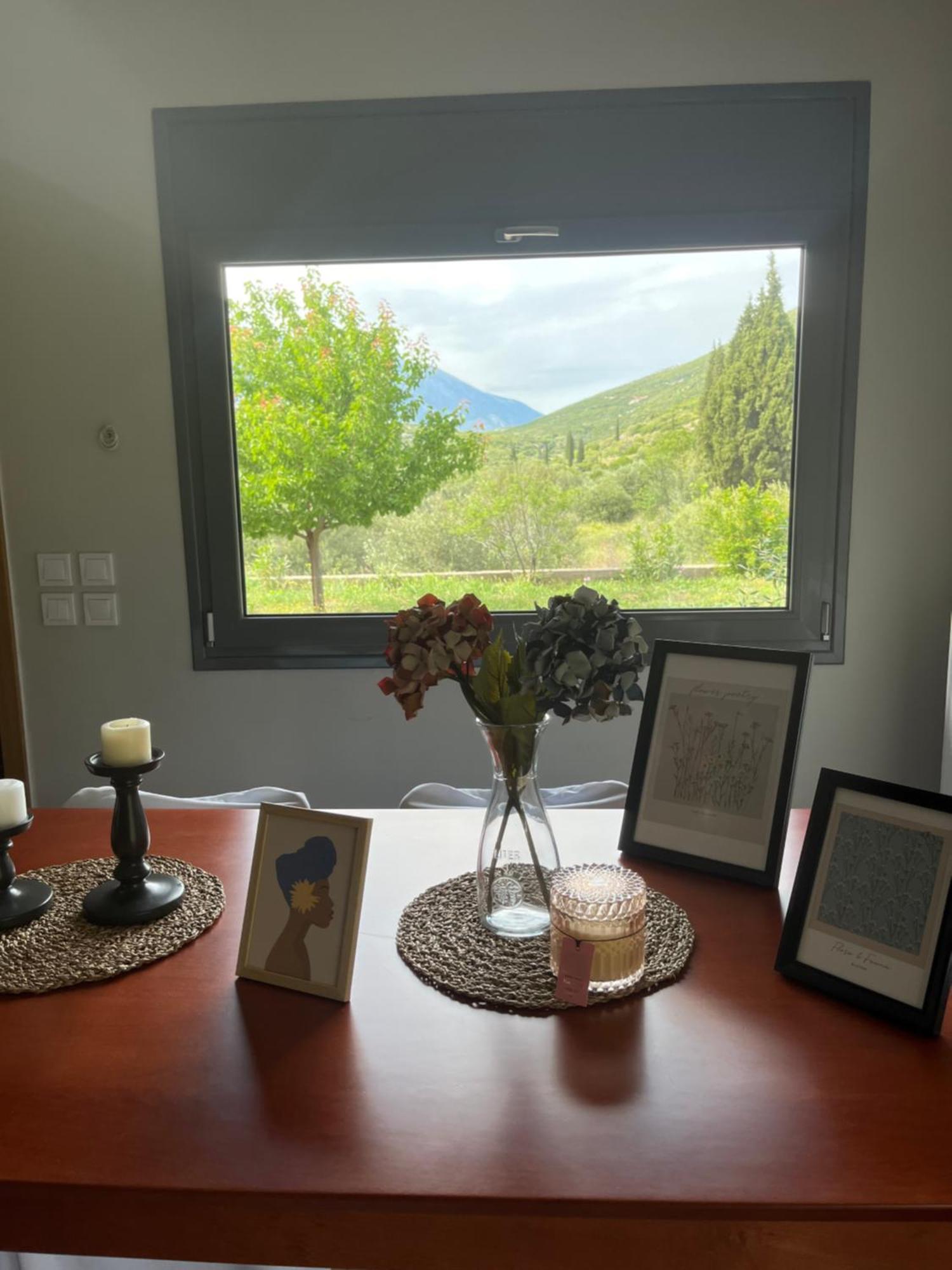Stellas Guesthouse Near Arachova Stírion Zewnętrze zdjęcie