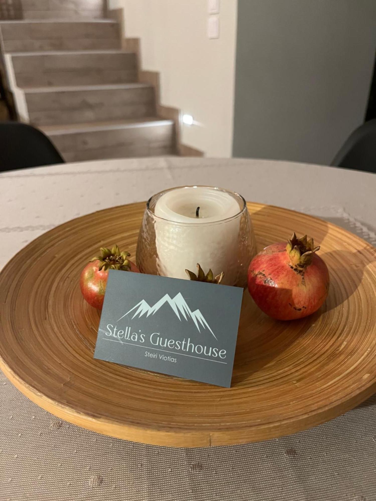 Stellas Guesthouse Near Arachova Stírion Zewnętrze zdjęcie